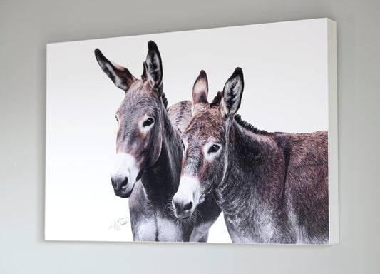 Wholesale and Consignment Opportunities - Andrea Webb Photography