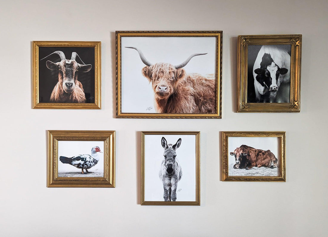 A Day on the Farm - Andrea Webb Photography