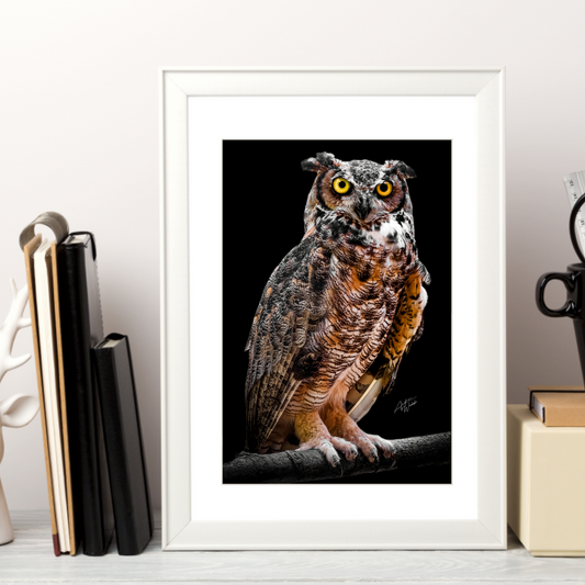 great horned owl portrait, great horned owl artwork, great horned owl art, great horned owl wall art, great horned owl gifts, great horned owl canvases.