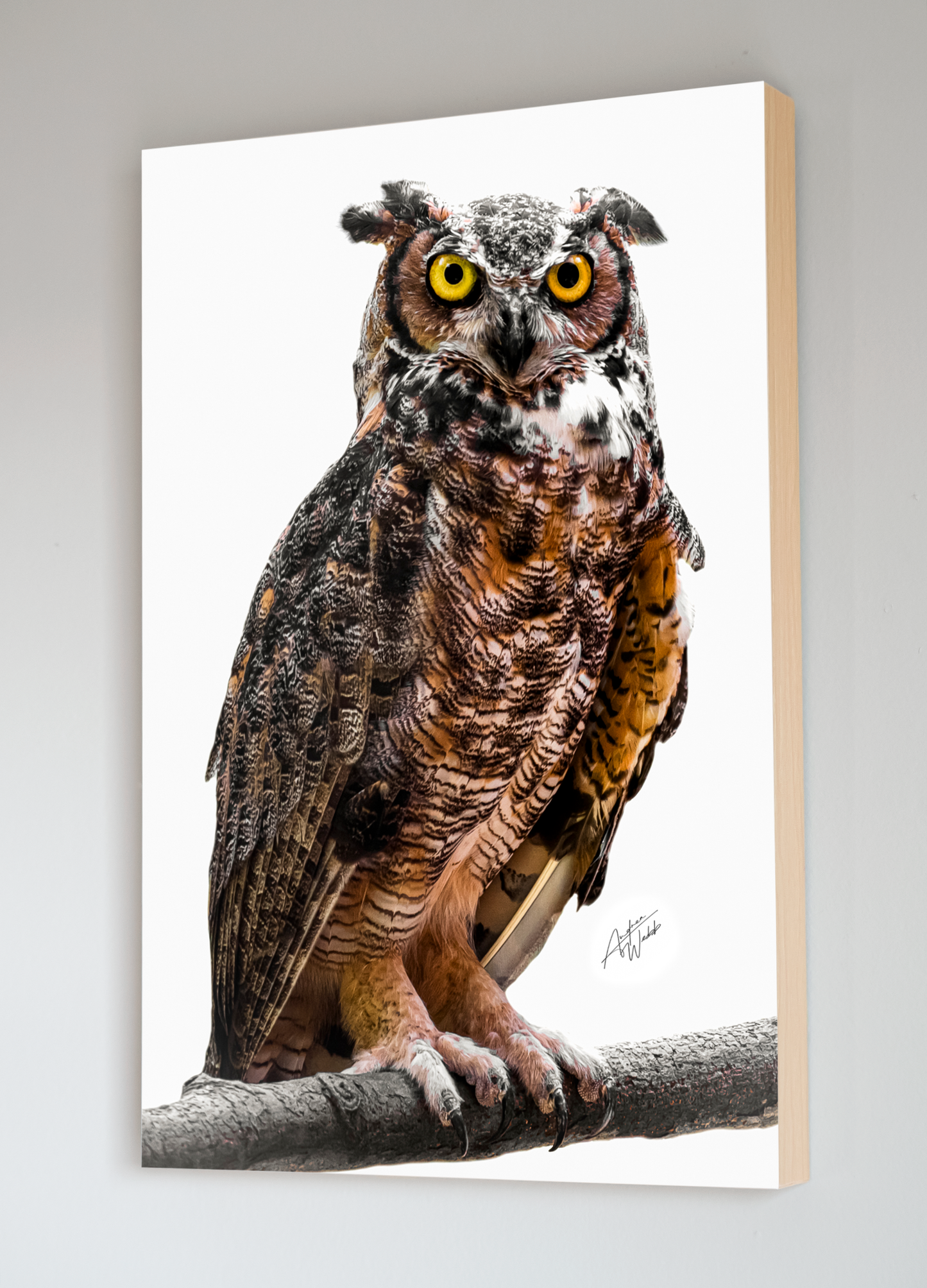 great horned owl portrait, great horned owl artwork, great horned owl art, great horned owl wall art, great horned owl canvases, great horned owl gifts