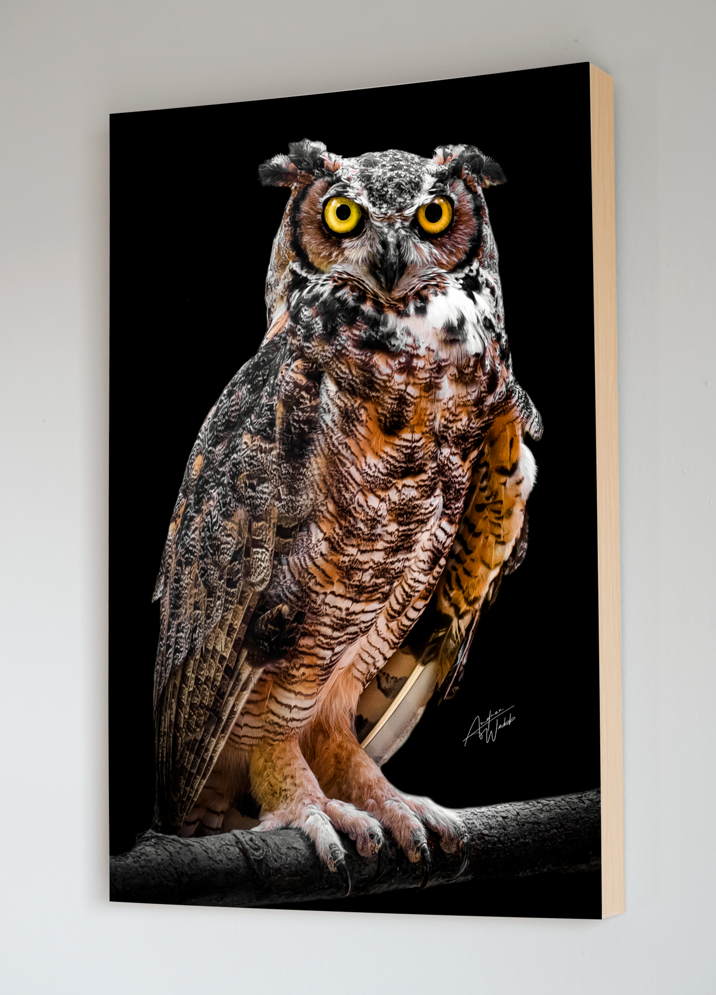 great horned owl portrait, great horned owl artwork, great horned owl art, great horned owl wall art, great horned owl gifts, great horned owl canvases.