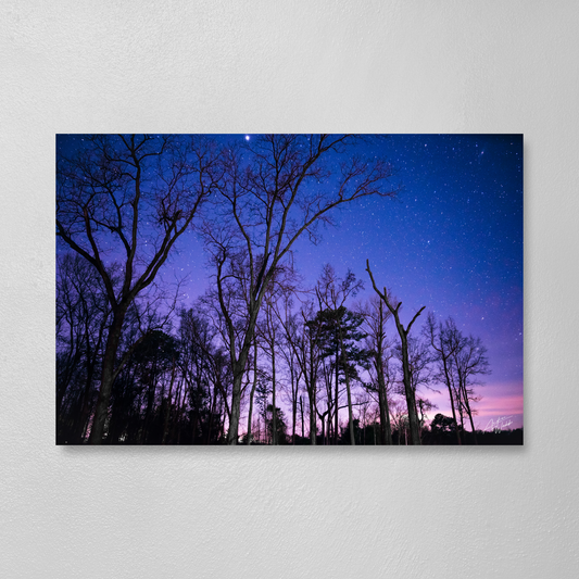 astrophotography print and canvas of trees and pastel colored sky with stars
