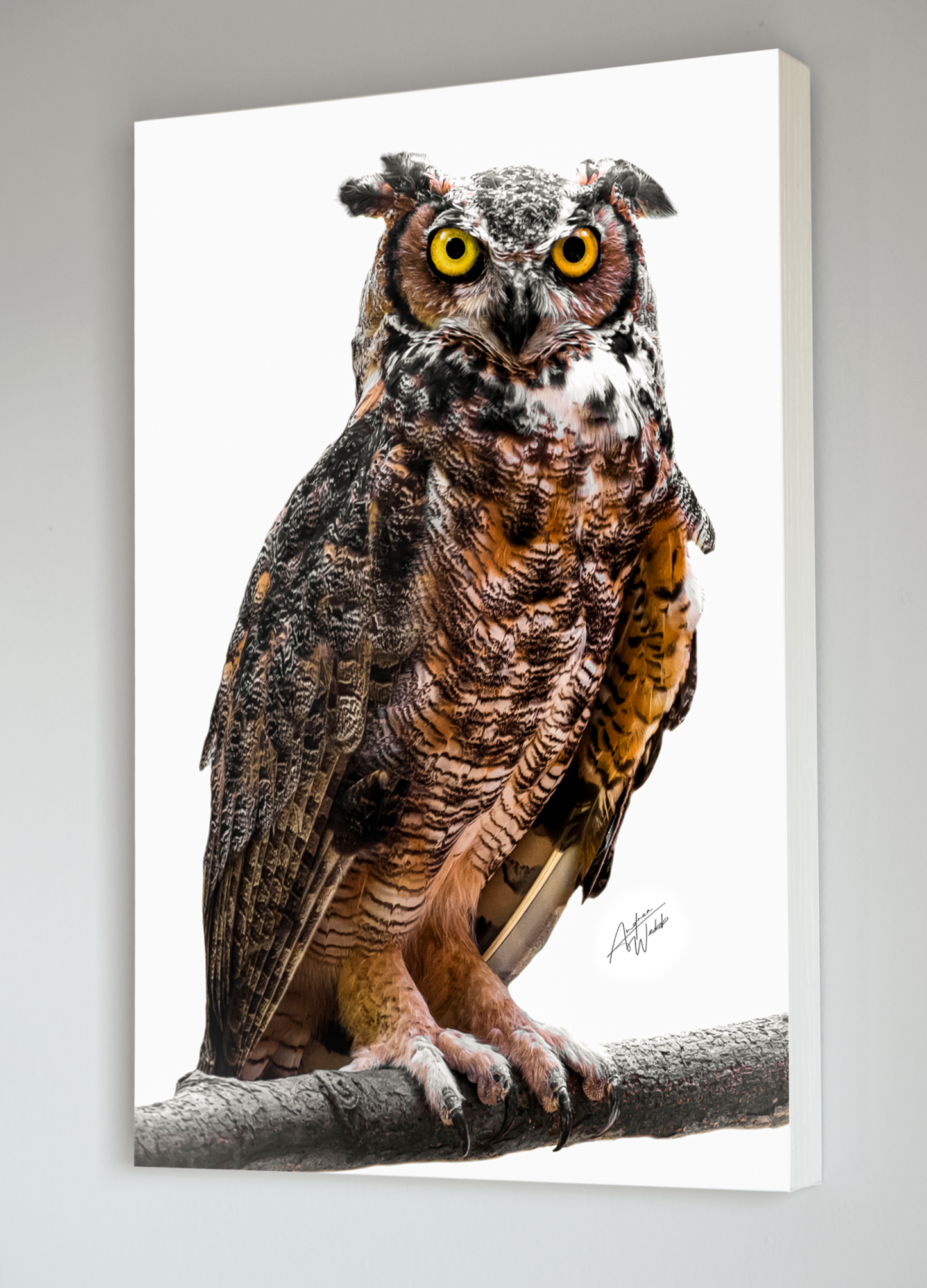great horned owl portrait, great horned owl artwork, great horned owl art, great horned owl wall art, great horned owl canvases, great horned owl gifts