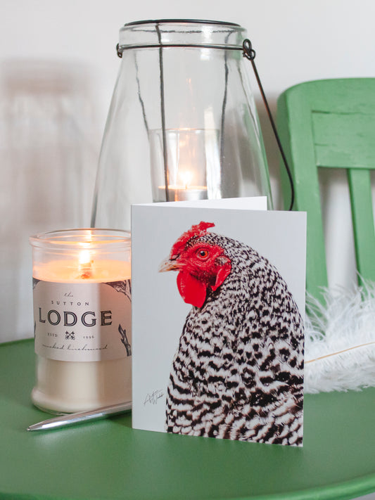 This product is a barred rock hen chicken on a folded notecard greeting card and is a set of 10. This barred rock hen chicken is printed on 14 pt. cardstock matte paper. Animal Photography. Chicken art. Chicken gifts. Chicken stationary. 