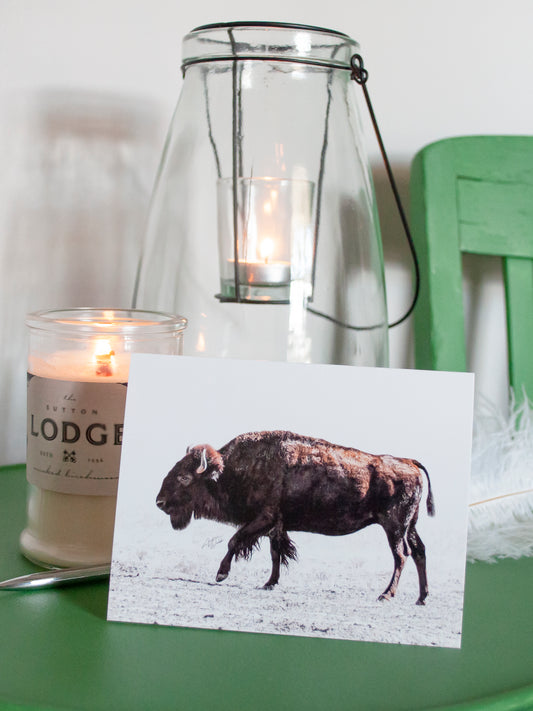 This product is an American Bison on a folded notecard greeting card and is a set of 10. This American Bison is printed on 14 pt. cardstock matte paper. Bison gift. Bison artwork. Bison art. Buffalo art. Buffalo artwork. Buffalo gifts. Bison stationary. Buffalo Stationary. Animal Photography