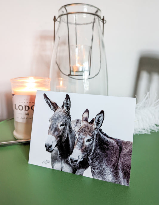 This product is a donkey pair on a folded notecard greeting card and is a set of 10. This donkey pair is printed on 14 pt. cardstock matte paper. Donkey art. Donkey wall art. Donkey portrait. Donkey canvas. Animal Photography. Donkey gifts. Donkey Stationary. 