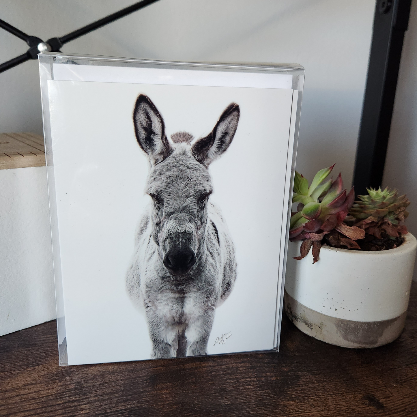 Donkey art, baby donkey stationary, donkey folded notecards, donkey on white background, donkey greeting cards