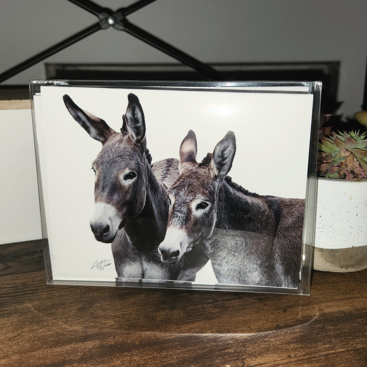 This product is a donkey pair on a folded notecard greeting card and is a set of 10. This donkey pair is printed on 14 pt. cardstock matte paper.