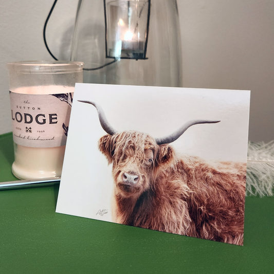 Highland Cow close up stationary, highland cow art, highland cow greeting cards. Highland Cow Photography. Highland Cow Artwork. Highland Cow gifts. Highland Cow Photography. Animal Photography.