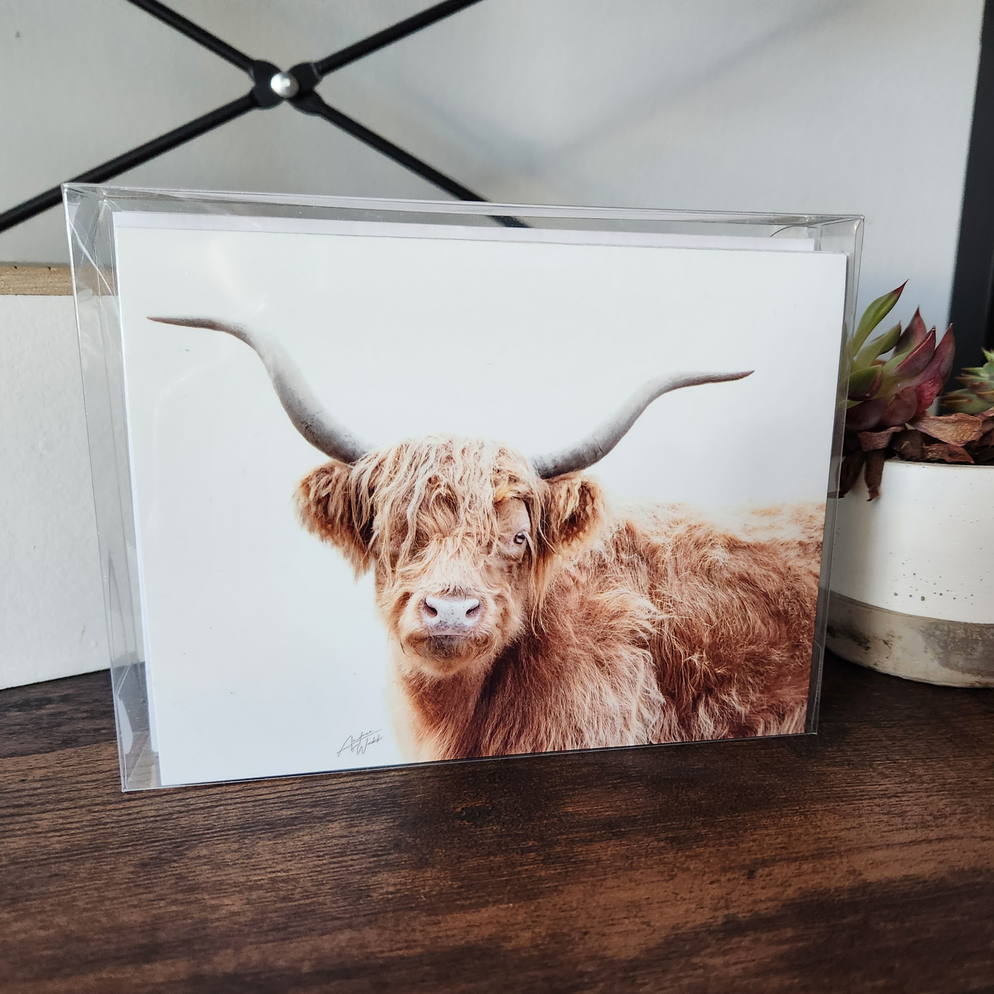 Highland Cow close up stationary, highland cow art, highland cow greeting cards