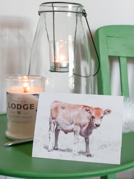 This product is a Jersey heifer calf on a folded notecard greeting card and is a set of 10. This Jersey heifer calf is printed on 14 pt. cardstock matte paper.. Cow art. Cow photography. Cow artwork. Cow wall art. Cow prints. Cow canvases. Cow gifts. Animal photography. Cow stationary. Cow gifts