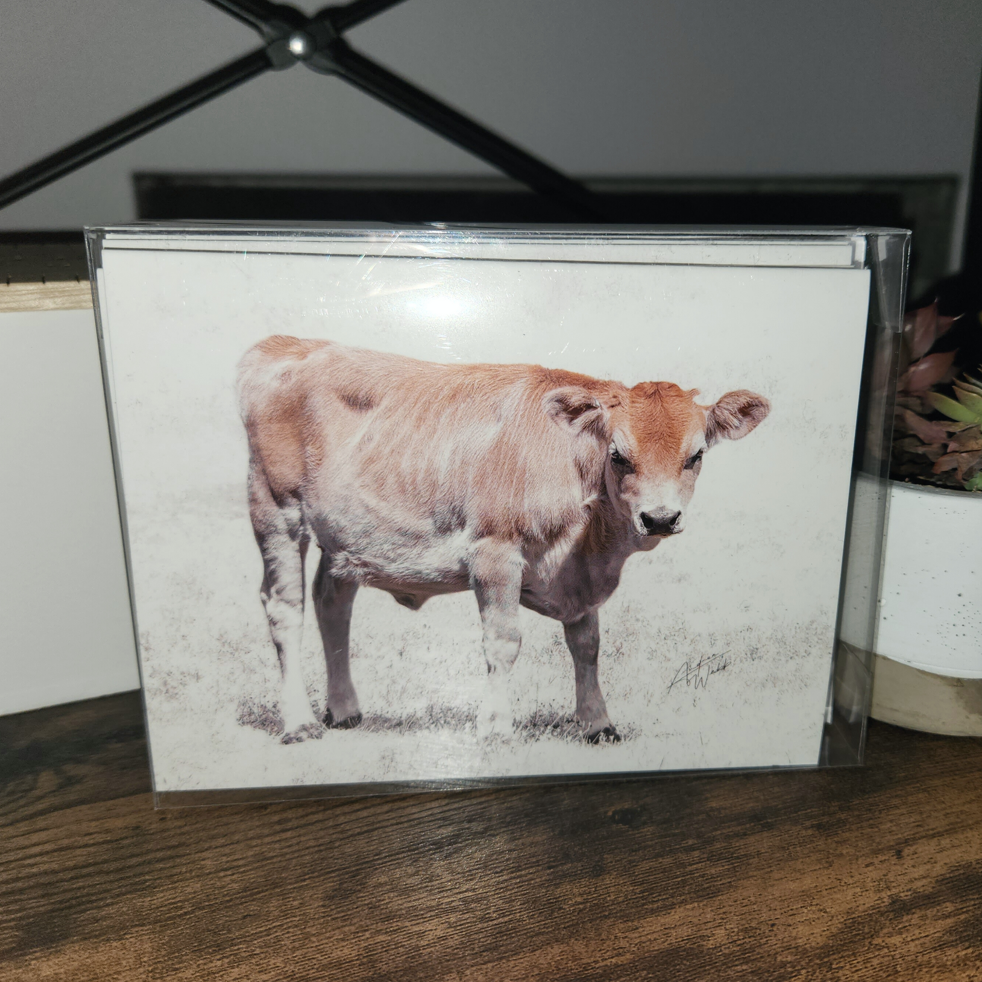 This product is a Jersey heifer calf on a folded notecard greeting card and is a set of 10. This Jersey heifer calf is printed on 14 pt. cardstock matte paper..