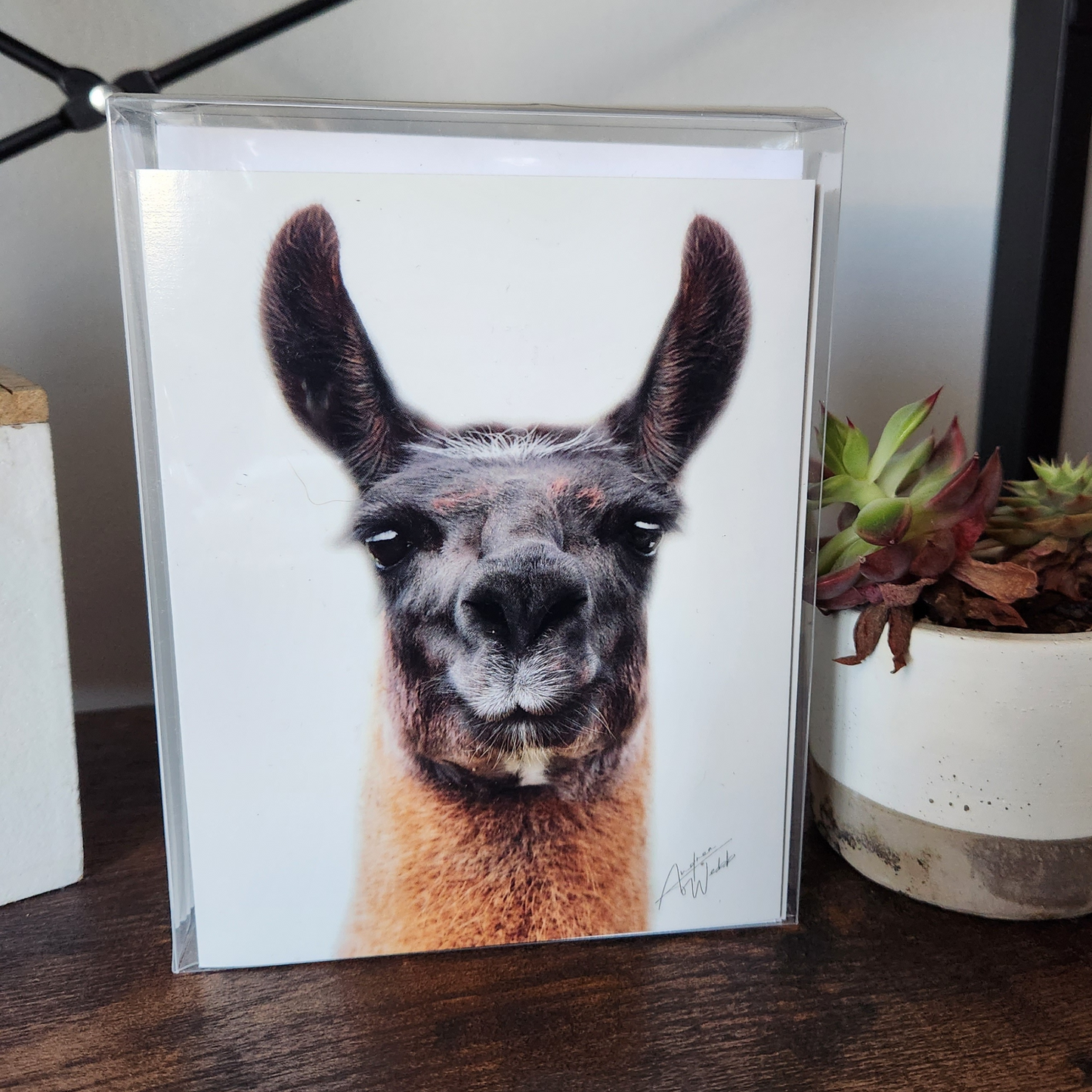Llama face on a white background stationary. llama greeting cards. llama folded notecards