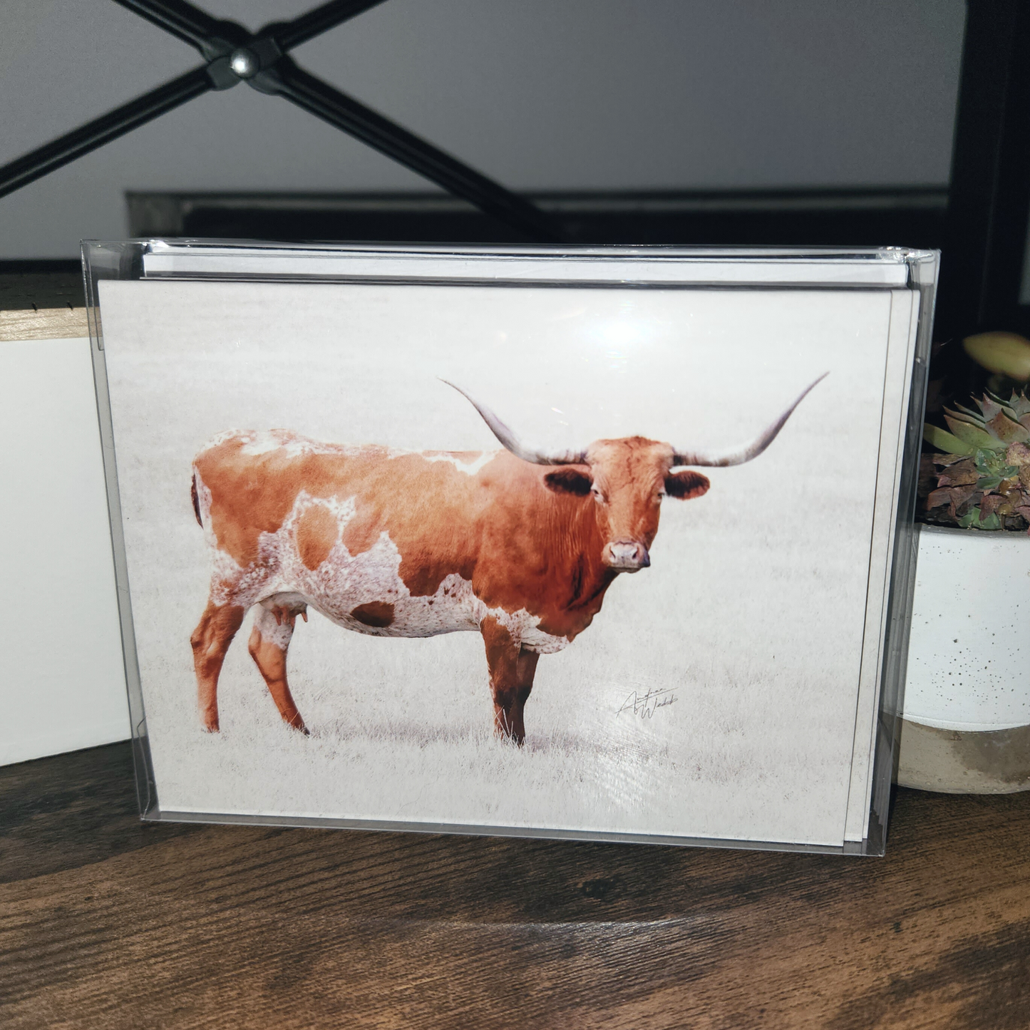 This product is a longhorn heifer cow on a folded notecard greeting card and is a set of 10. This Longhorn heifer is printed on 14 pt. cardstock matte paper.