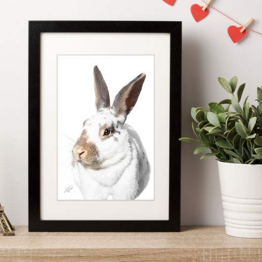 Rabbit artwork, rabbit fine art, rabbit portrait on white background, rabbit pictures for nursery, rabbit pictures for play room.  Bunny gifts. Bunny art. Bunny wall art. Rabbit gifts. Rabbit art. Rabbit wall art. Rabbit canvas. Bunny canvas. 