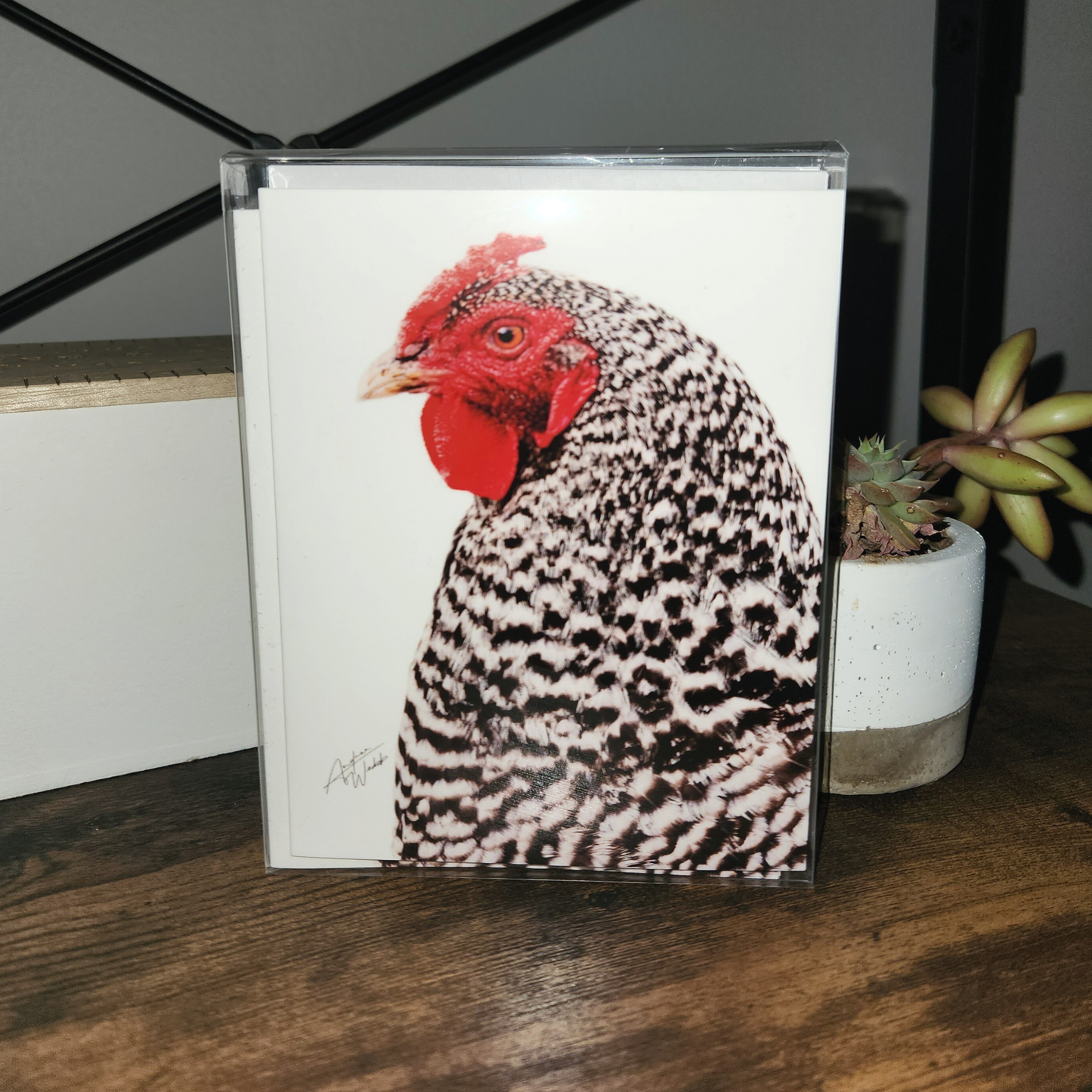 This product is a barred rock hen chicken on a folded notecard greeting card and is a set of 10. This barred rock hen chicken is printed on 14 pt. cardstock matte paper.