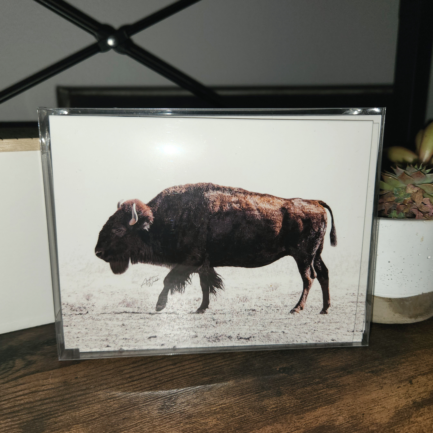 This product is an American Bison on a folded notecard greeting card and is a set of 10. This American Bison is printed on 14 pt. cardstock matte paper..