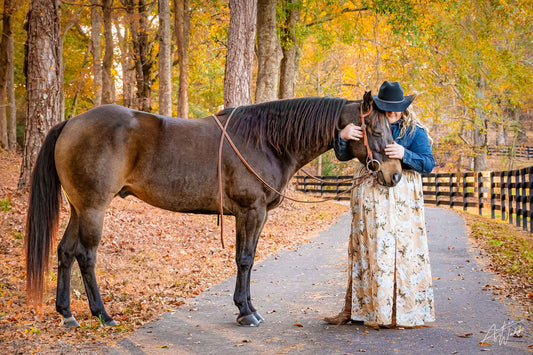 Equine Fine Art Portraits in Georgia,  White Background Horse Portraits in Georgia,  Horse and Rider Portrait in Georgia.  Horse and Rider Black Background Portrait in Georgia.  Horse Black Background Photo Session in Georgia.