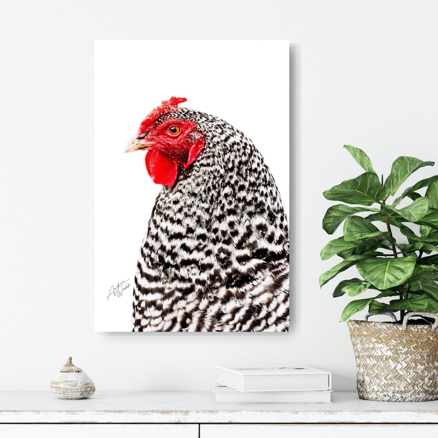 Barred Rock Hen Print, Hen Art Print, White Background Hen, Barred Rock Artwork, Poultry Fine Art, Farm Animal Print, Barred Rock Chicken Art, Animal Art Print, Farm Life Artwork