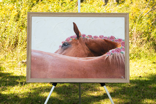 Equine fine art portrait of a horse on a white background by Andrea Webb Photography
