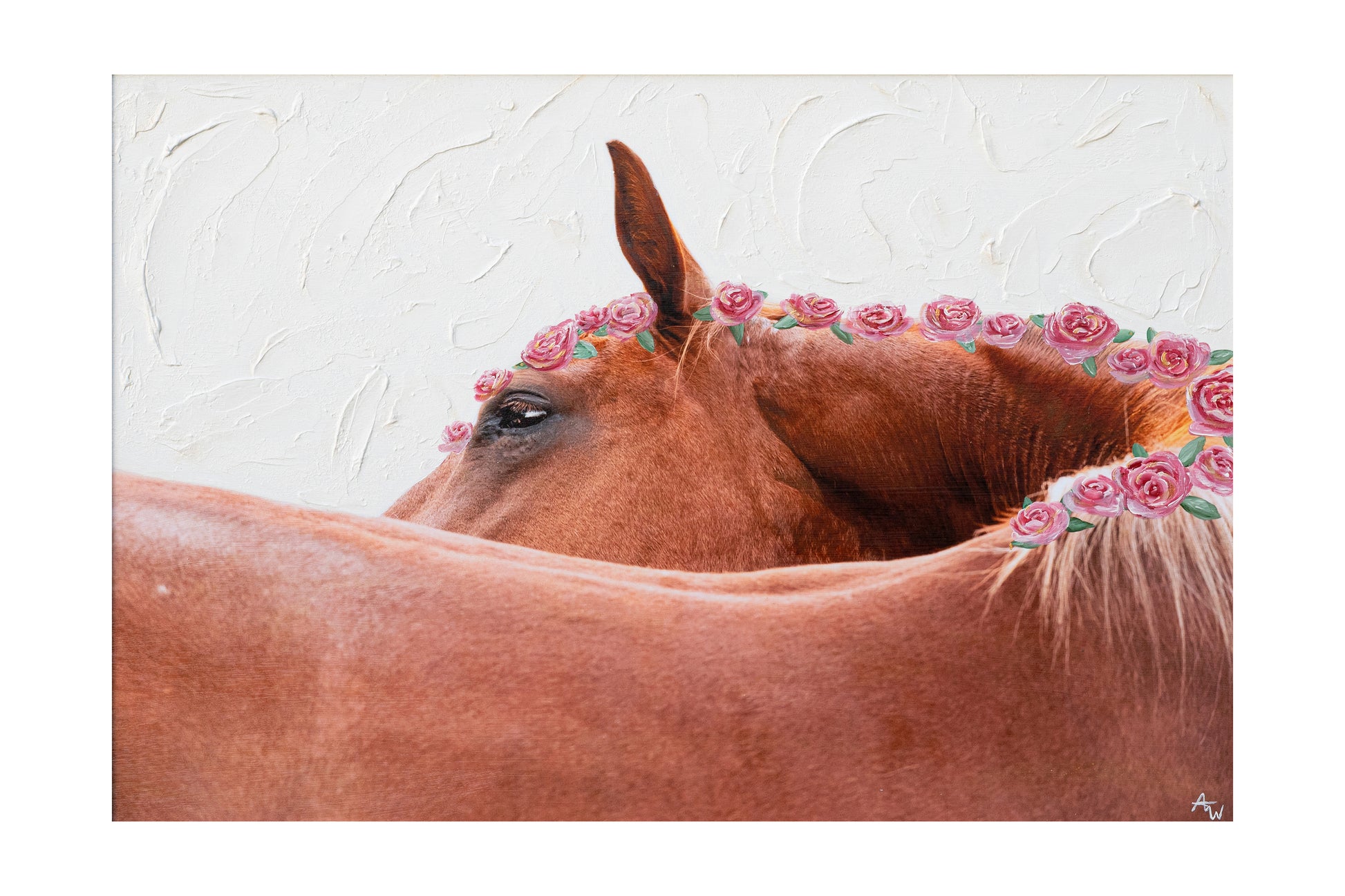 Equine fine art portrait of a horse on a white background by Andrea Webb Photography