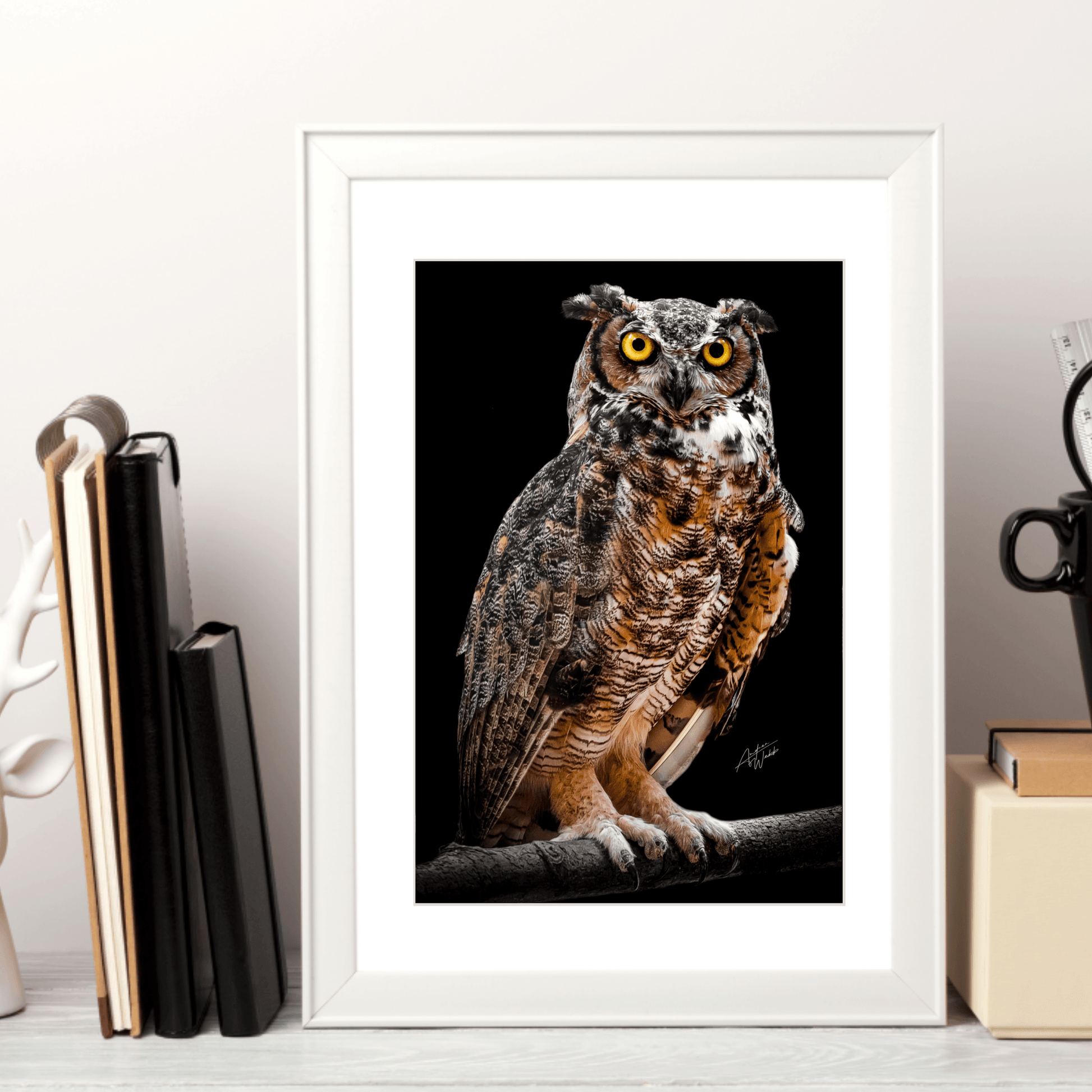 Great Horned Owl Print, Owl Art Print, Black Background Owl, Great Horned Owl Portrait, Owl Photography, Owl Artwork, Great Horned Owl Close-Up, Bird of Prey Art