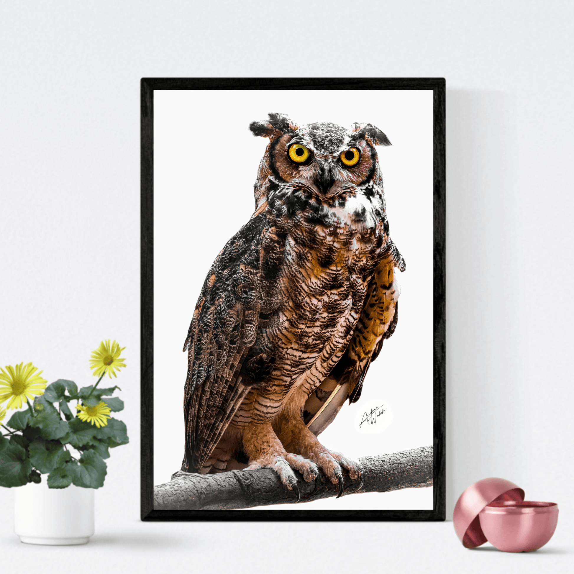 Great Horned Owl Print, Owl Art Print, White Background Owl, Great Horned Owl Portrait, Owl Photography, Owl Artwork, Great Horned Owl Close-Up, Bird of Prey Art