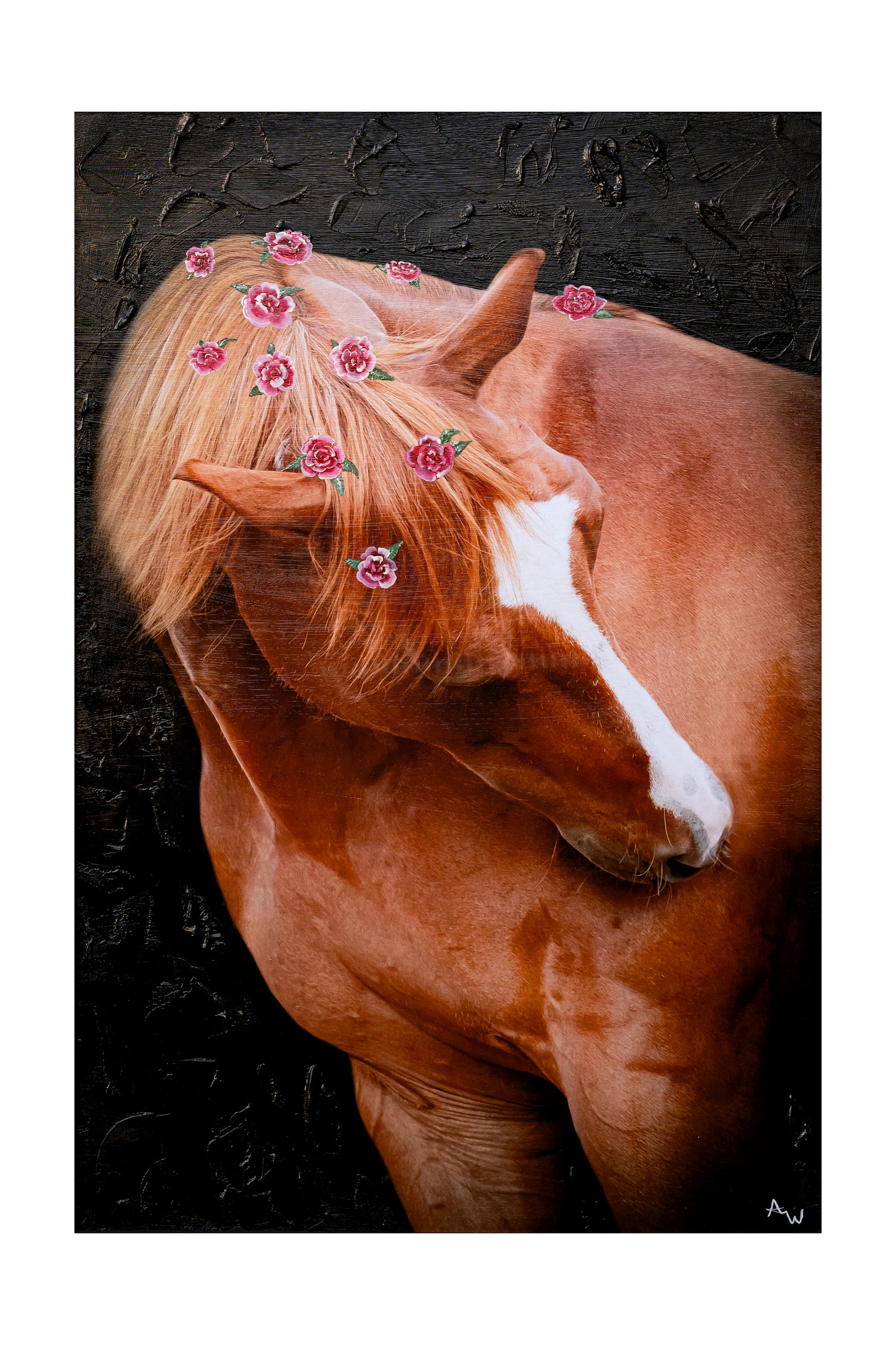 Elegant horse artwork created from photography and mixed media techniques for equestrian décor