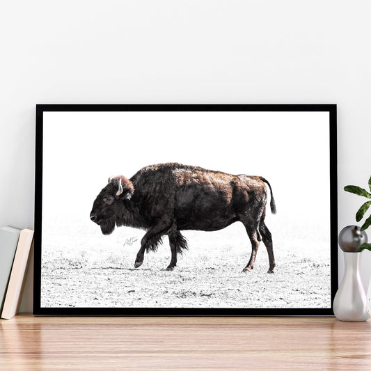 American Bison Print, Bison Fine Art, White Background Bison, Bison Artwork, Bison Portrait, Animal Fine Art, Bison Art, Minimalist Bison Art