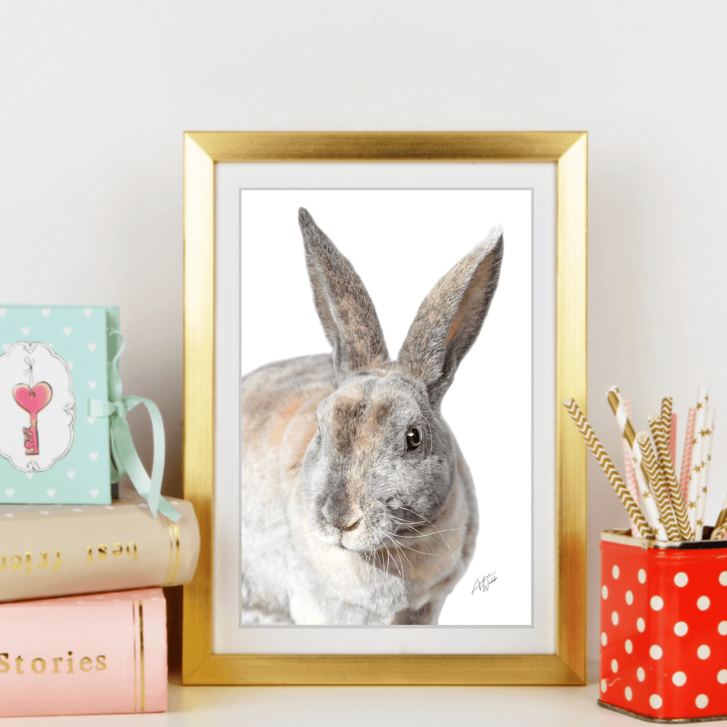 Brown Rabbit Print, Rabbit Art Print, White Background Rabbit, Rabbit Portrait, Animal Fine Art, Rabbit Photography, Brown Rabbit Artwork, Farm Animal Art, Cute Rabbit Print, Wildlife Art