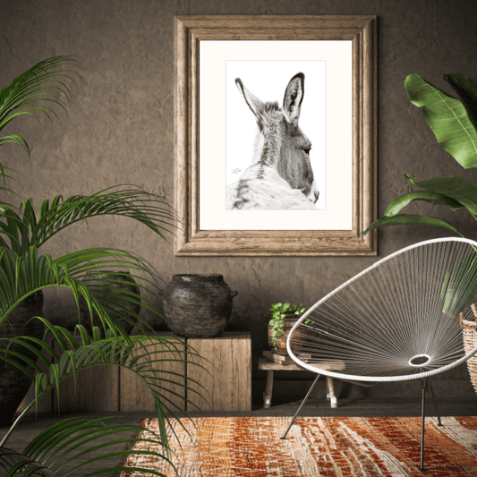 Between the Ears Donkey, Donkey Art Print, White Background Donkey, Donkey Portrait, Farm Animal Art, Donkey Photography, Animal Fine Art, Donkey Close-up, Farm Life Artwork