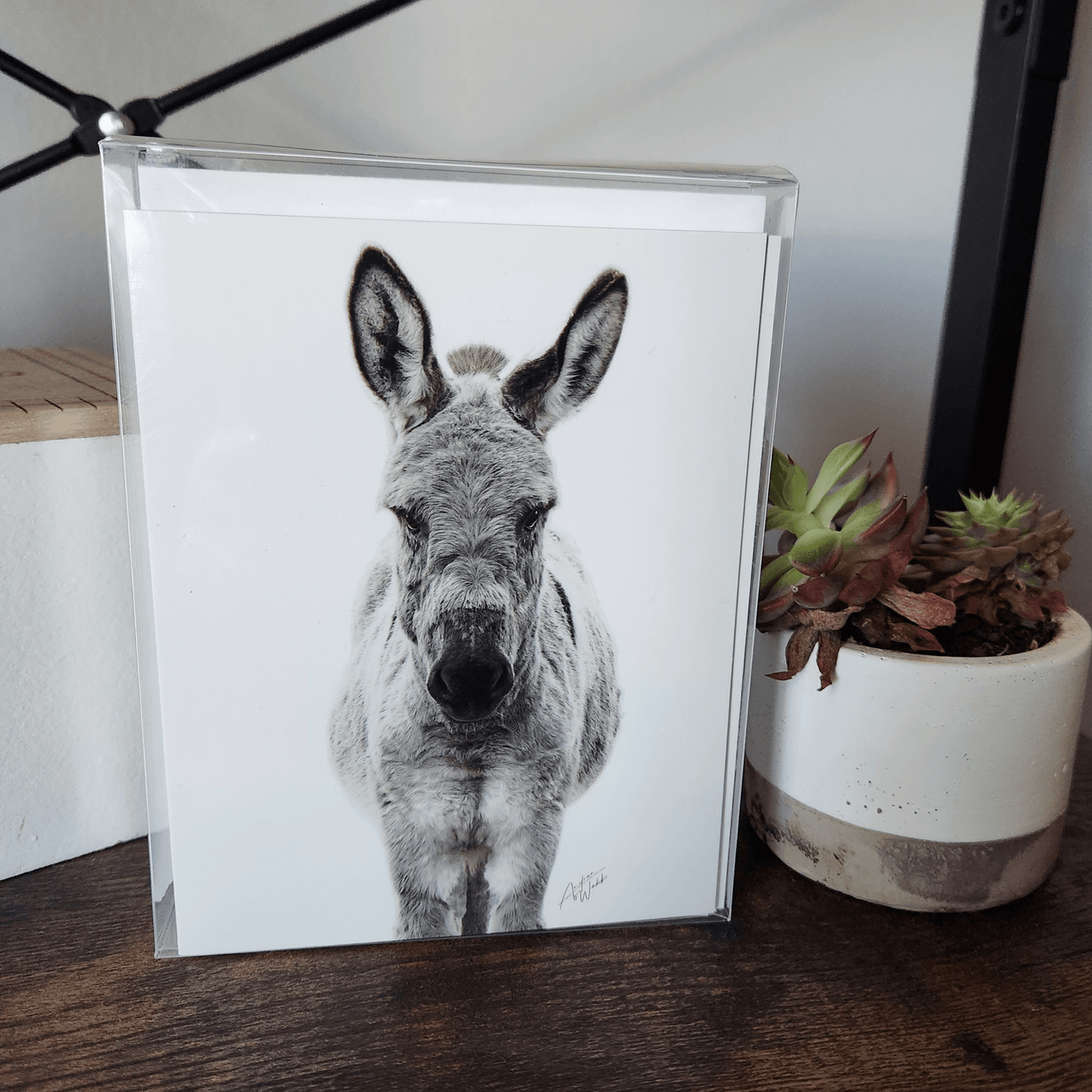 Donkey Folded Notecards, Donkey Notecard Set, Boxed Donkey Notecards, Donkey Card Box Set, Donkey Art Notecards, White Background Donkey Notecards, Donkey Portrait Notecards, Farm Animal Notecards, Donkey Stationery Set, Donkey Greeting Cards