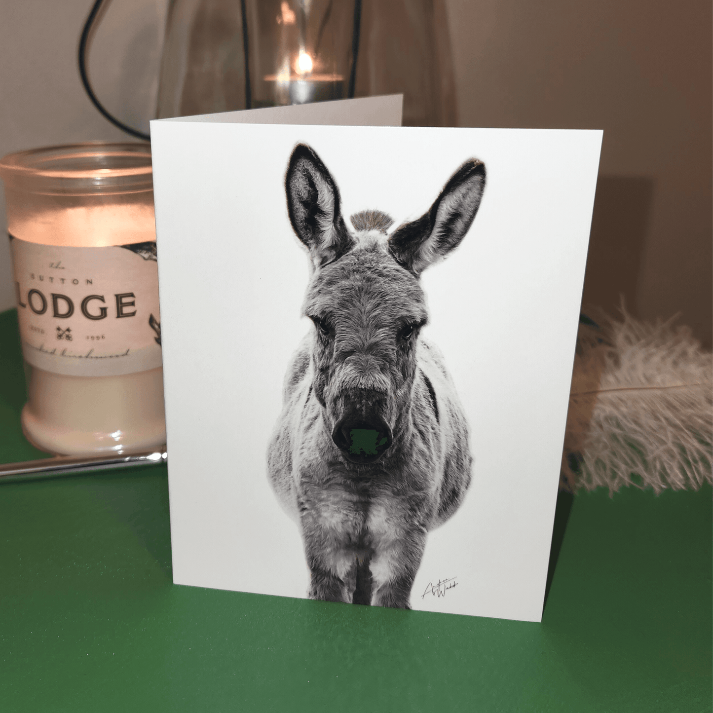 Donkey Folded Notecards, Donkey Notecard Set, Boxed Donkey Notecards, Donkey Card Box Set, Donkey Art Notecards, White Background Donkey Notecards, Donkey Portrait Notecards, Farm Animal Notecards, Donkey Stationery Set, Donkey Greeting Cards