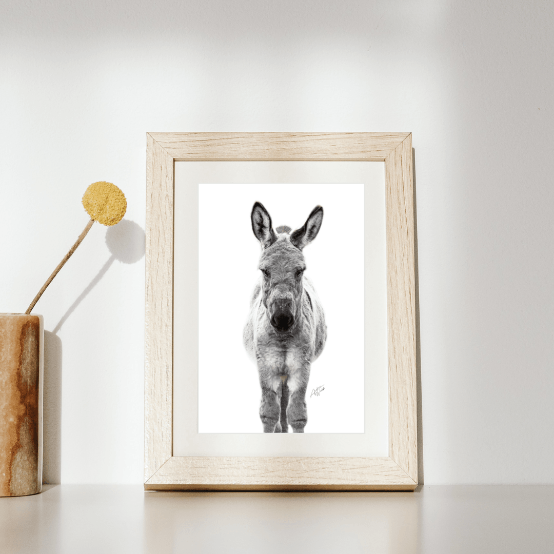 Donkey Print, Donkey Art Print, White Background Donkey, Donkey Portrait, Donkey Photography, Farm Animal Art, Donkey Artwork, Donkey on White Background, Donkey Close-Up