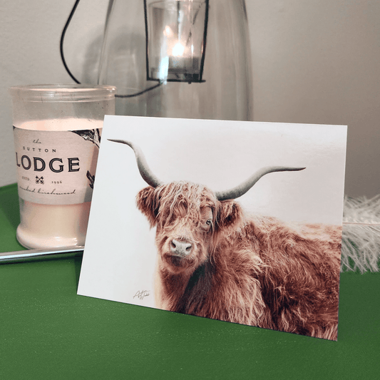 Highland Cow Folded Notecards, Highland Cow Notecard Set, Boxed Highland Cow Notecards, Highland Cow Card Box Set, Highland Cow Art Notecards, Close-Up Cow Notecards, Farm Animal Notecards, Highland Cow Portrait Notecards, Rustic Cow Stationery, Highland Cow Greeting Cards