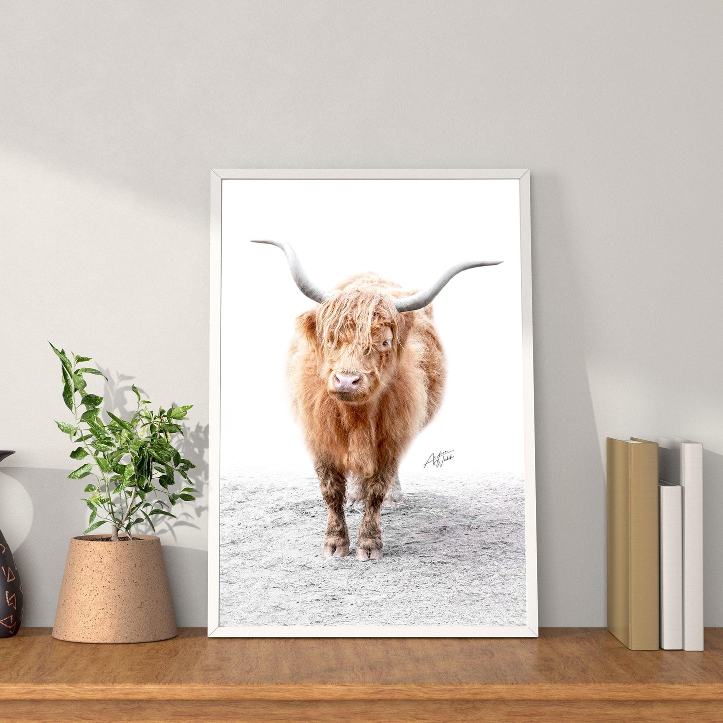 Highland Cow, White Background Cow, Highland Cow Portrait, Cow Photography, Farm Animal Art, Highland Cow Artwork, Animal Fine Art, Highland Cow Close-Up, Cow on White Background, Rustic Cow Art