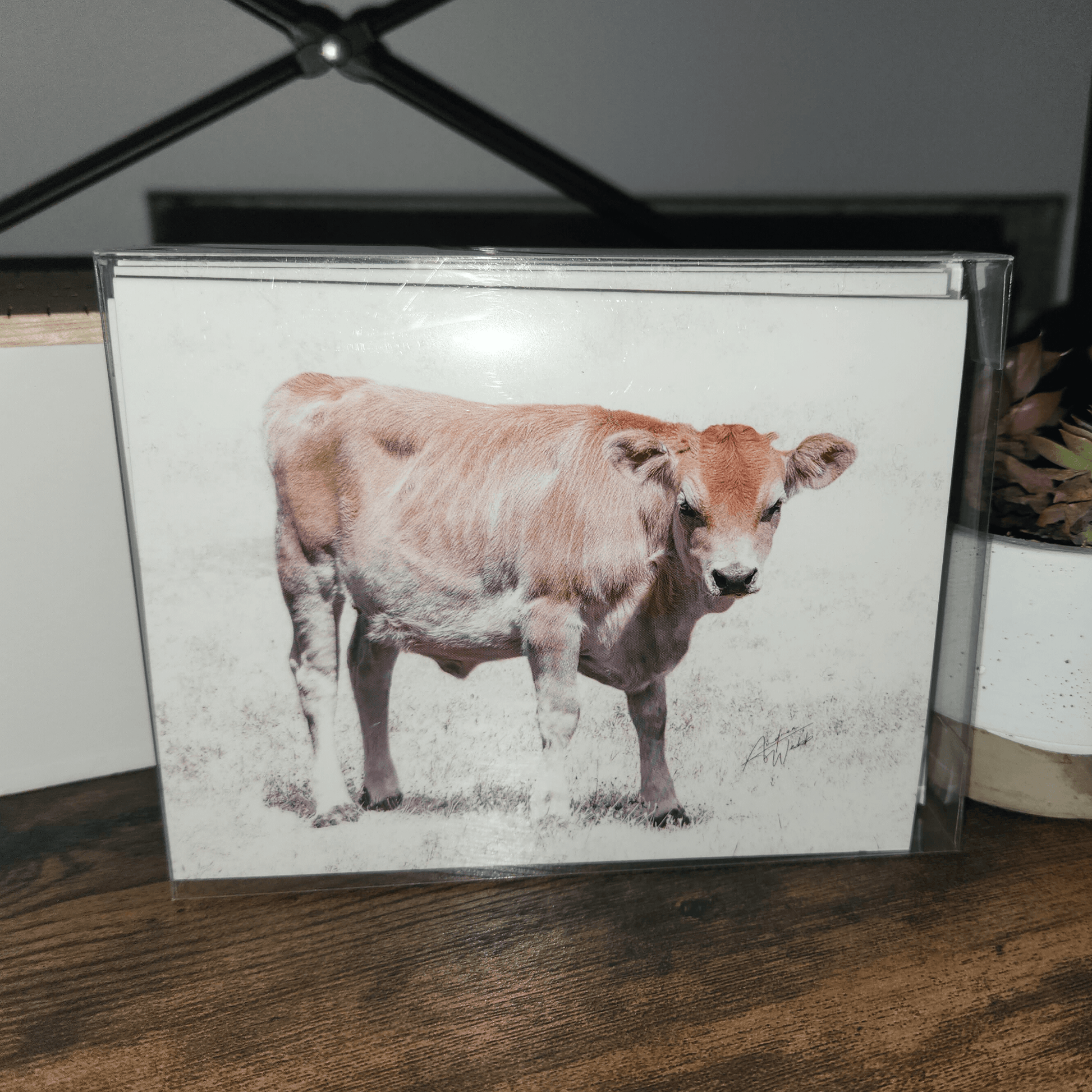 Jersey Heifer Calf Folded Notecards, Heifer Calf Notecard Set, Boxed Jersey Heifer Notecards, Calf Card Box Set, Jersey Calf Art Notecards, White Background Calf Notecards, Jersey Heifer Notecard Set, Farm Animal Notecards, Jersey Heifer Calf Stationery, Calf Greeting Cards