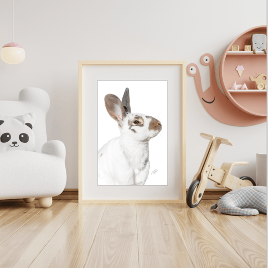 White and Brown Rabbit on White Background - Andrea Webb Photography