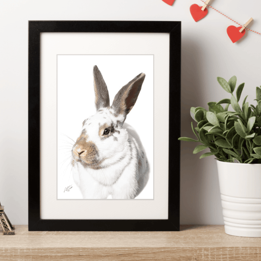 White and Brown Rabbit on White Background - Andrea Webb Photography