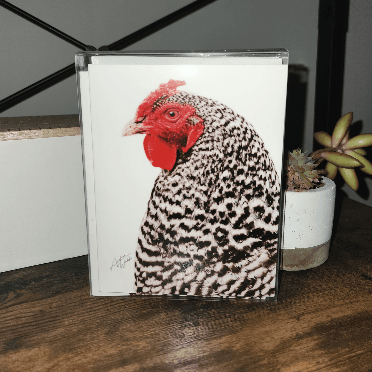 Barred Rock Hen, Hen Notecard Set, Chicken Notecards, Farm Animal Stationery, Barred Rock Art, Poultry Notecards, Animal Notecards, Farm Life Stationery