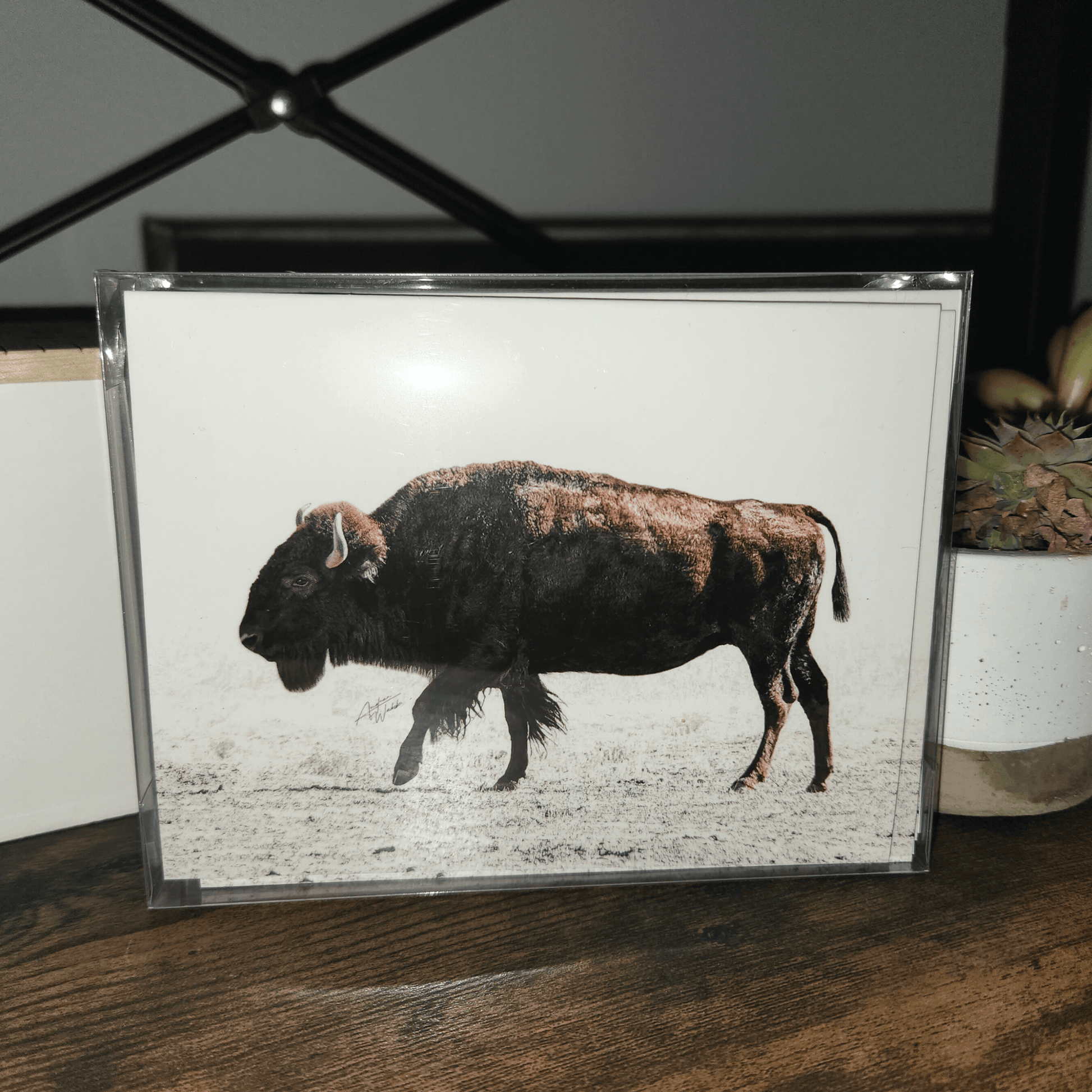 American Bison, Bison Notecard Set, Wildlife Notecards, Nature Stationery, Bison Artwork, Animal Notecards, Buffalo Stationery, Fine Art Notecards, Wildlife Art Cards